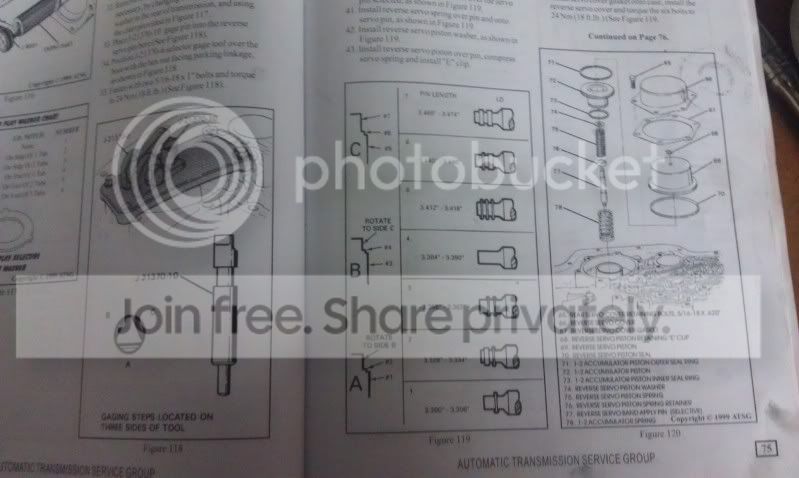 IMAG0239.jpg