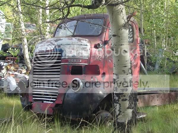 Trailer907015600x450.jpg