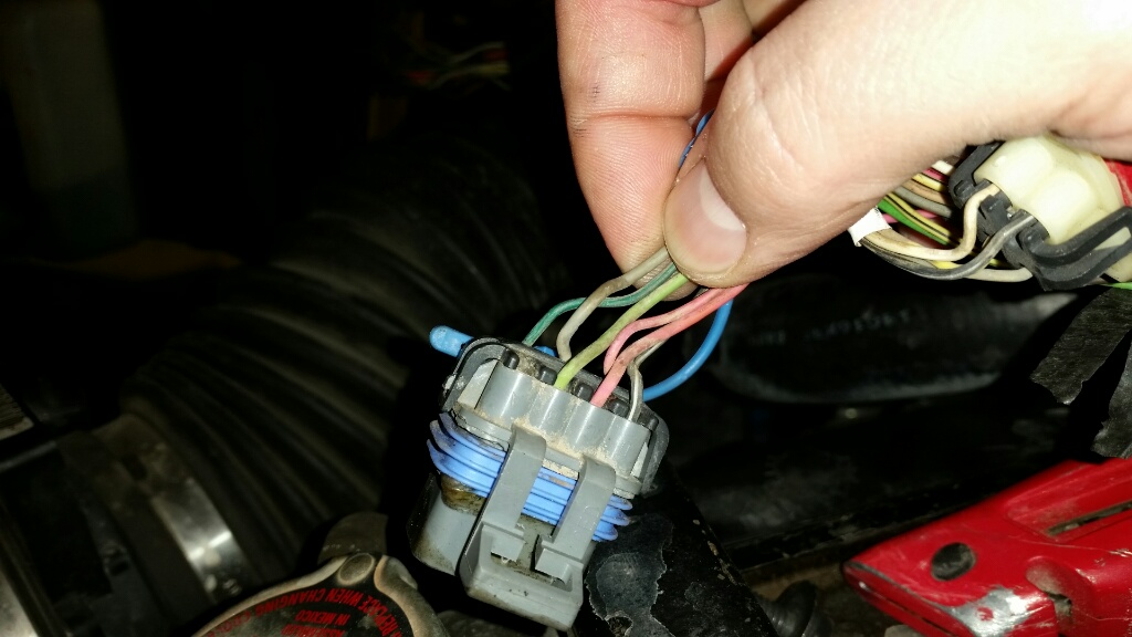 Neutral_switch_plug.jpg