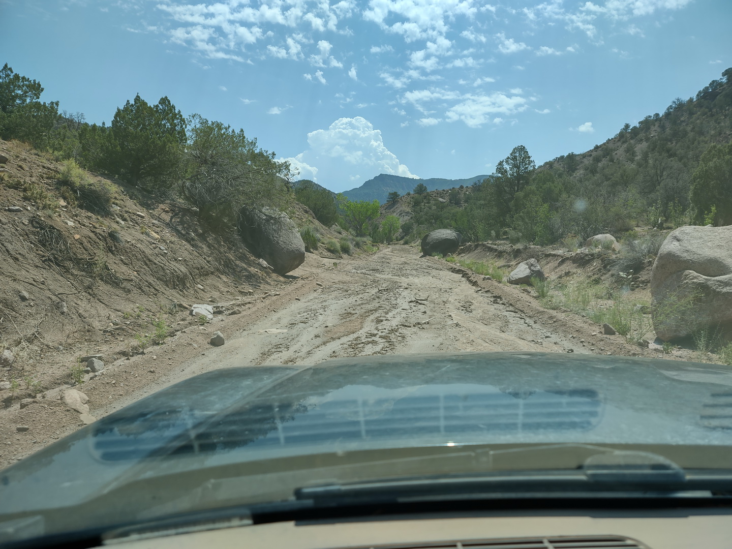 IMG_20210715_115015624_HDR.jpg